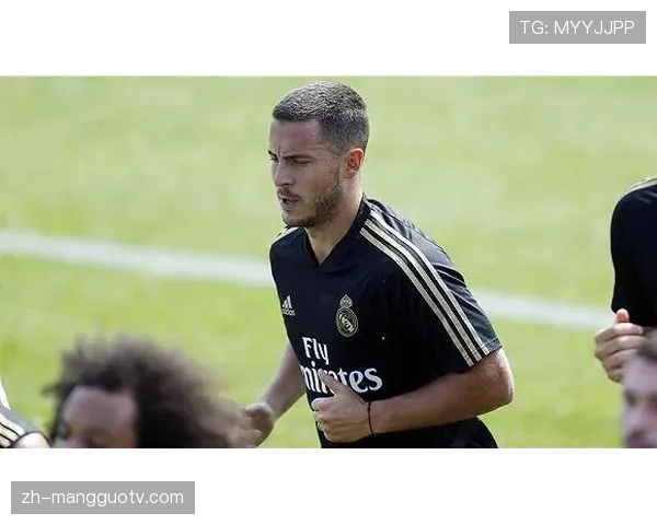 明尼苏达山猫队主场完成休赛期翻新,提升观众观赛体验